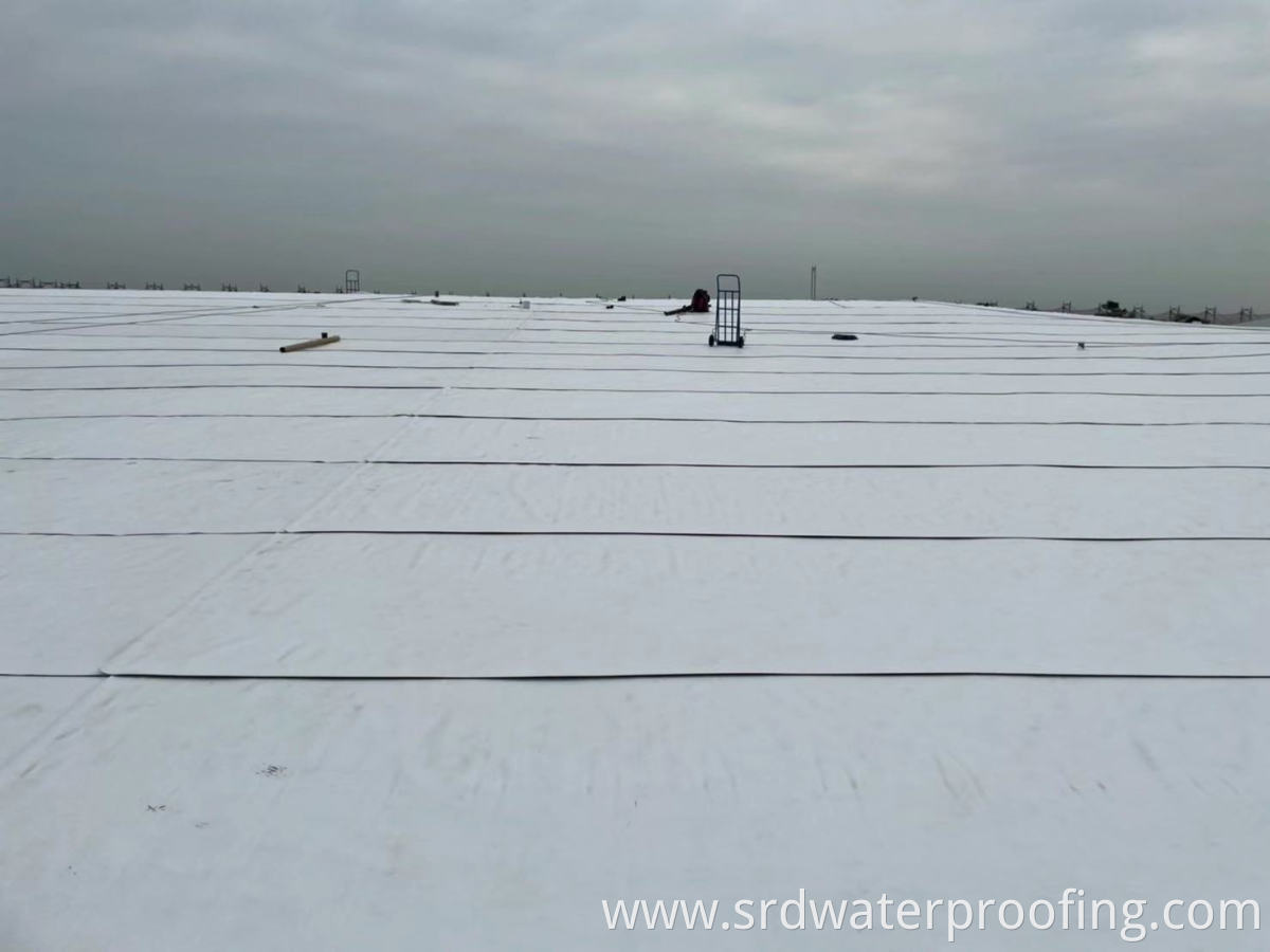 TPO WATERPROOFING SHEET